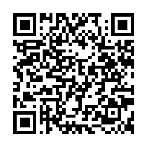 Link naar je actie QRCode - Fondswerving