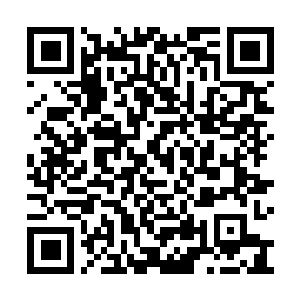 Link naar je actie QRCode - Fondswerving