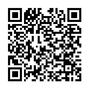 Link naar je actie QRCode - Fondswerving