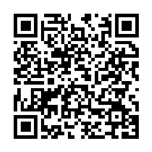 Link naar je actie QRCode - Fondswerving