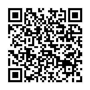 Link naar je actie QRCode - Fondswerving