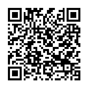 Link naar je actie QRCode - Fondswerving