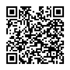Link naar je actie QRCode - Fondswerving