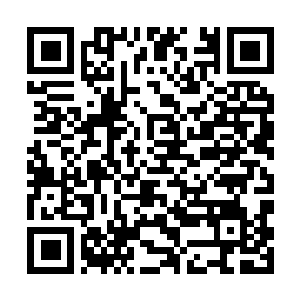 Link naar je actie QRCode - Fondswerving
