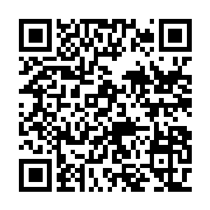 Link naar je actie QRCode - Fondswerving