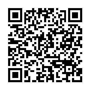 Link naar je actie QRCode - Fondswerving