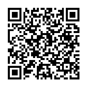 Link naar je actie QRCode - Fondswerving