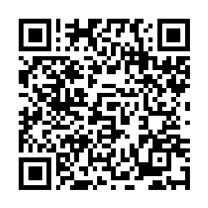 Link naar je actie QRCode - Fondswerving
