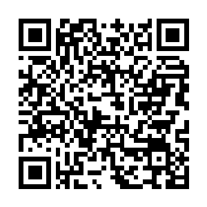 Link naar je actie QRCode - Fondswerving