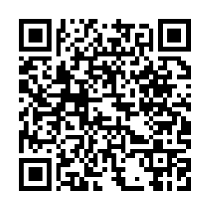 Link naar je actie QRCode - Fondswerving
