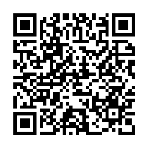 Link naar je actie QRCode - Fondswerving
