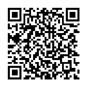 Link naar je actie QRCode - Fondswerving