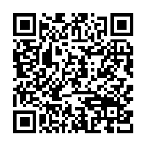 Link naar je actie QRCode - Fondswerving
