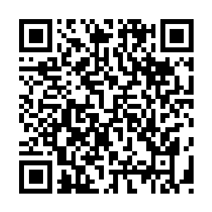 Link naar je actie QRCode - Fondswerving