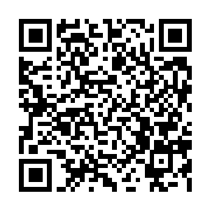 Link naar je actie QRCode - Fondswerving