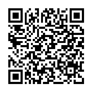 Link naar je actie QRCode - Fondswerving