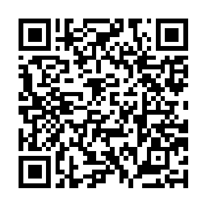 Link naar je actie QRCode - Fondswerving