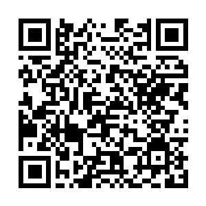 Link naar je actie QRCode - Fondswerving