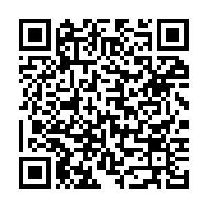 Link naar je actie QRCode - Fondswerving