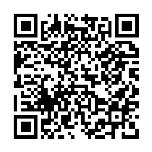 Link naar je actie QRCode - Fondswerving