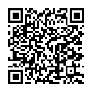 Link naar je actie QRCode - Fondswerving