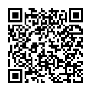 Link naar je actie QRCode - Fondswerving