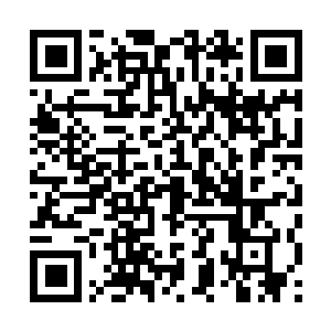 Link naar je actie QRCode - Fondswerving