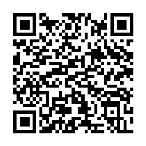 Link naar je actie QRCode - Fondswerving