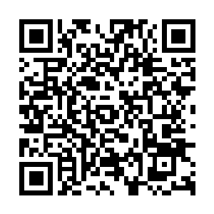 Link naar je actie QRCode - Fondswerving