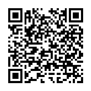 Link naar je actie QRCode - Fondswerving