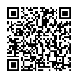 Link naar je actie QRCode - Fondswerving