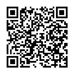 Link naar je actie QRCode - Fondswerving