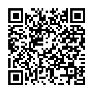 Link naar je actie QRCode - Fondswerving