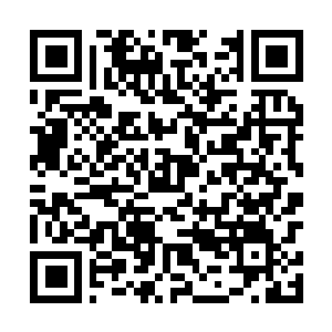 Link naar je actie QRCode - Fondswerving