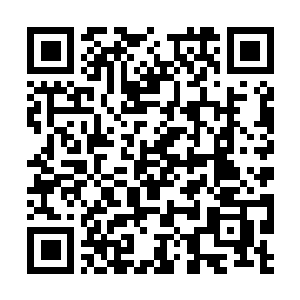 Link naar je actie QRCode - Fondswerving
