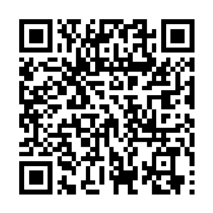 Link naar je actie QRCode - Fondswerving