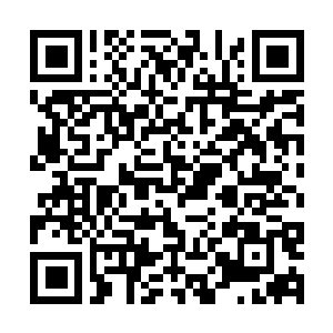 Link naar je actie QRCode - Fondswerving