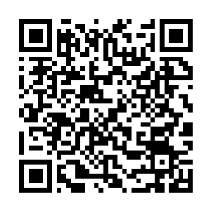 Link naar je actie QRCode - Fondswerving