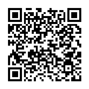 Link naar je actie QRCode - Fondswerving