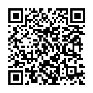 Link naar je actie QRCode - Fondswerving