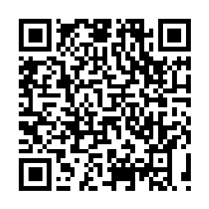 Link naar je actie QRCode - Fondswerving