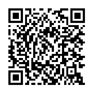 Link naar je actie QRCode - Fondswerving