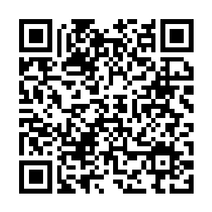 Link naar je actie QRCode - Fondswerving