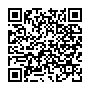 Link naar je actie QRCode - Fondswerving