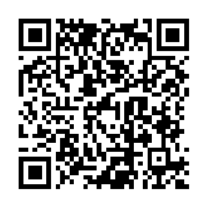 Link naar je actie QRCode - Fondswerving