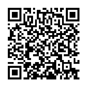Link naar je actie QRCode - Fondswerving