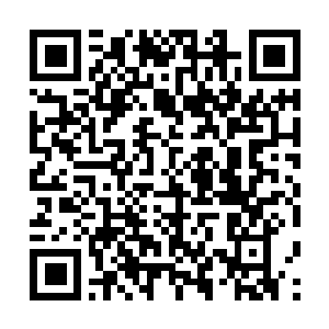 Link naar je actie QRCode - Fondswerving