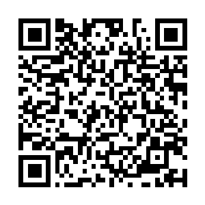 Link naar je actie QRCode - Fondswerving