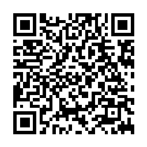 Link naar je actie QRCode - Fondswerving