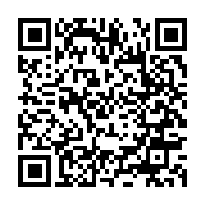Link naar je actie QRCode - Fondswerving